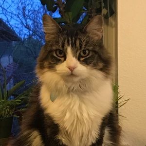 Meet your Posher, Emma